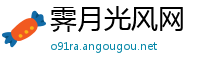 霁月光风网